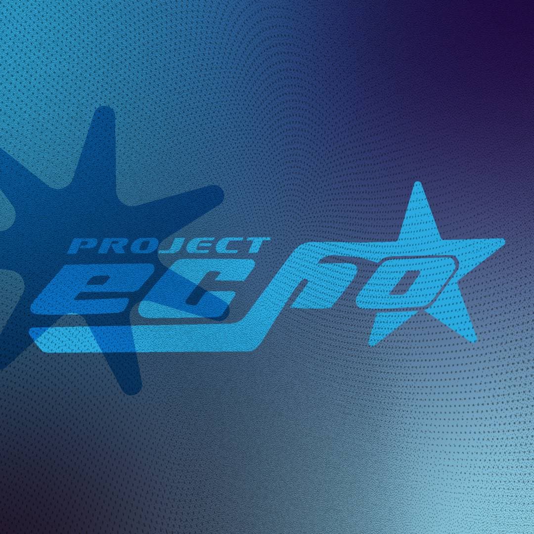 ECHO FESTIVAL:  PROJETO X