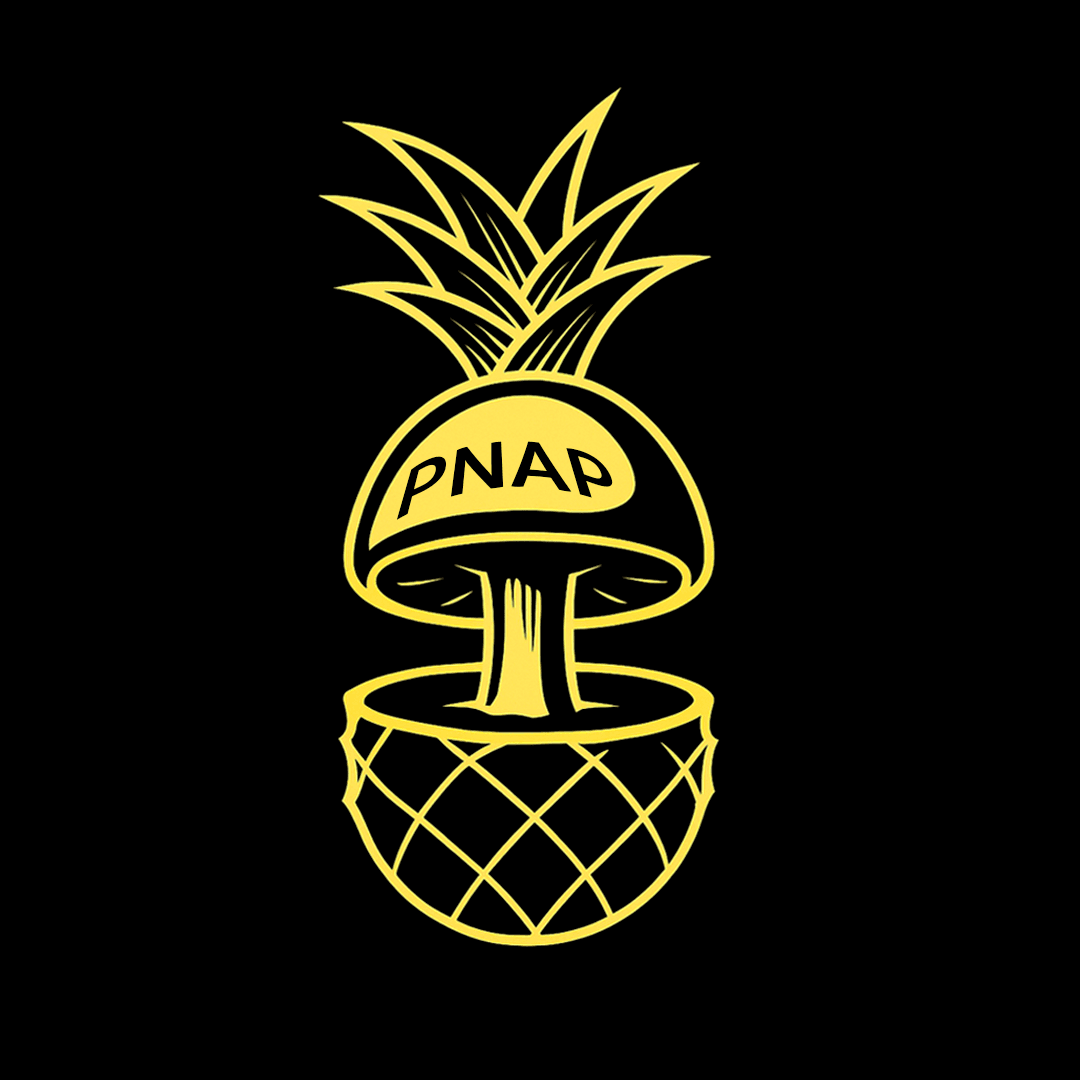 PNAP - Pineapple Party