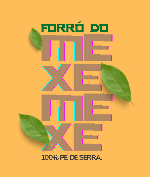 FESTIVAL FORRÓ DO MEXE MEXE