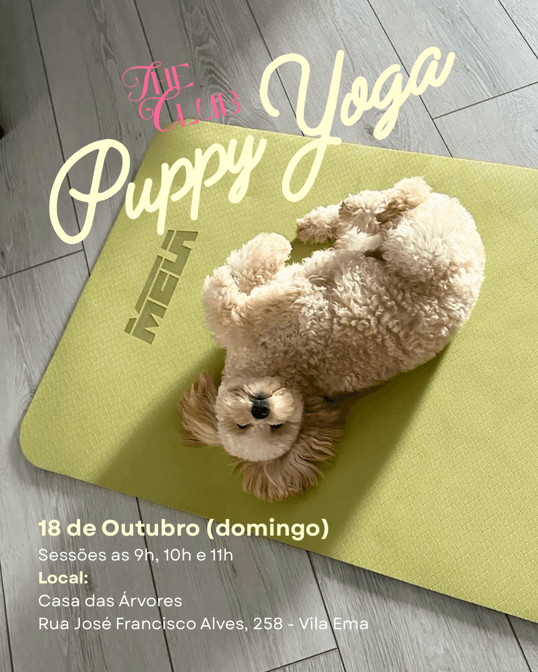 TheClub e Studio Satya: Puppy Yoga