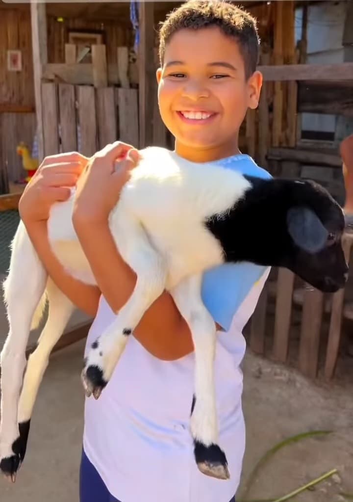 Pegar os filhotes no colo