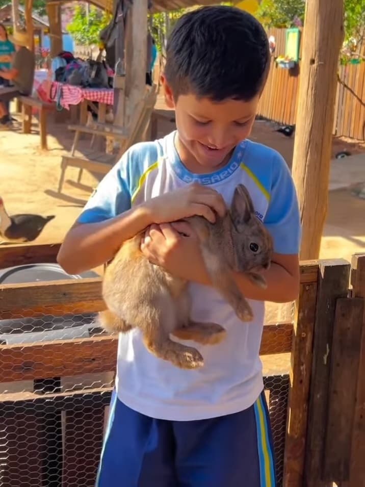Pegar os coelhos fofinhos
