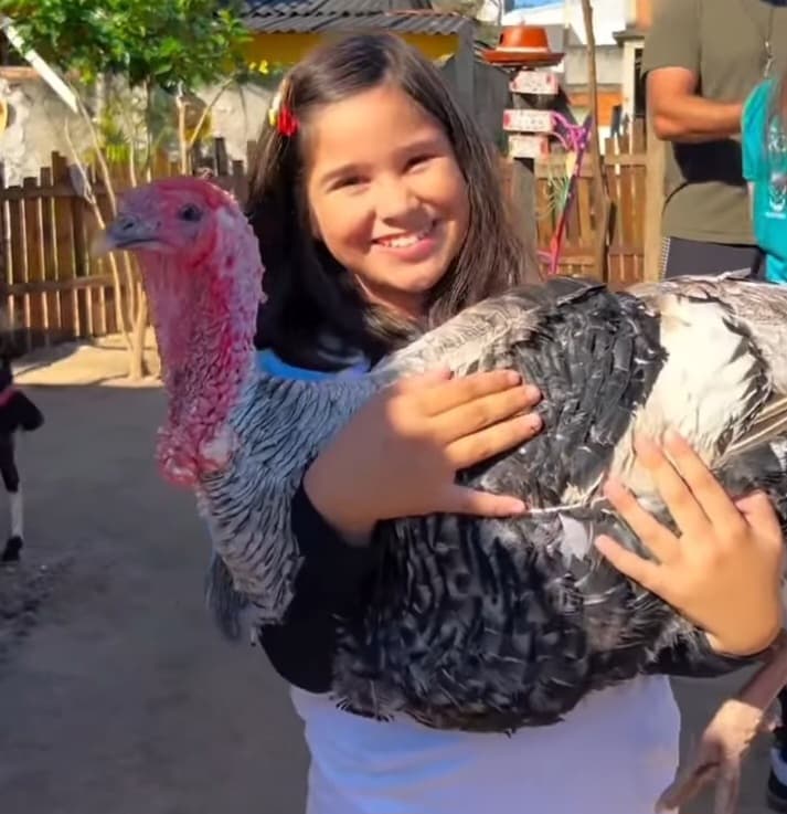 Animais super mansos